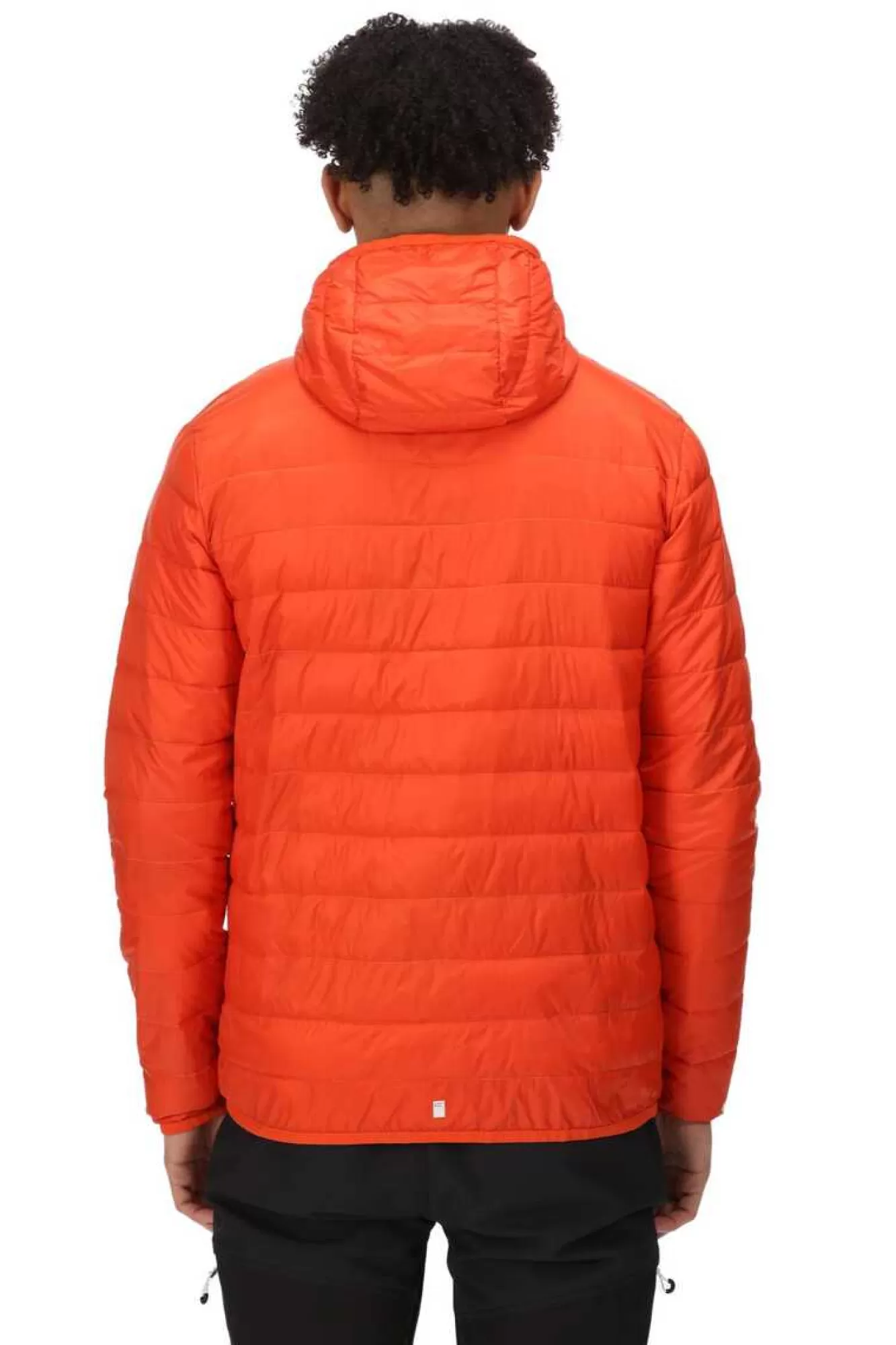 Regatta Casaco Com Capuz Hillpack