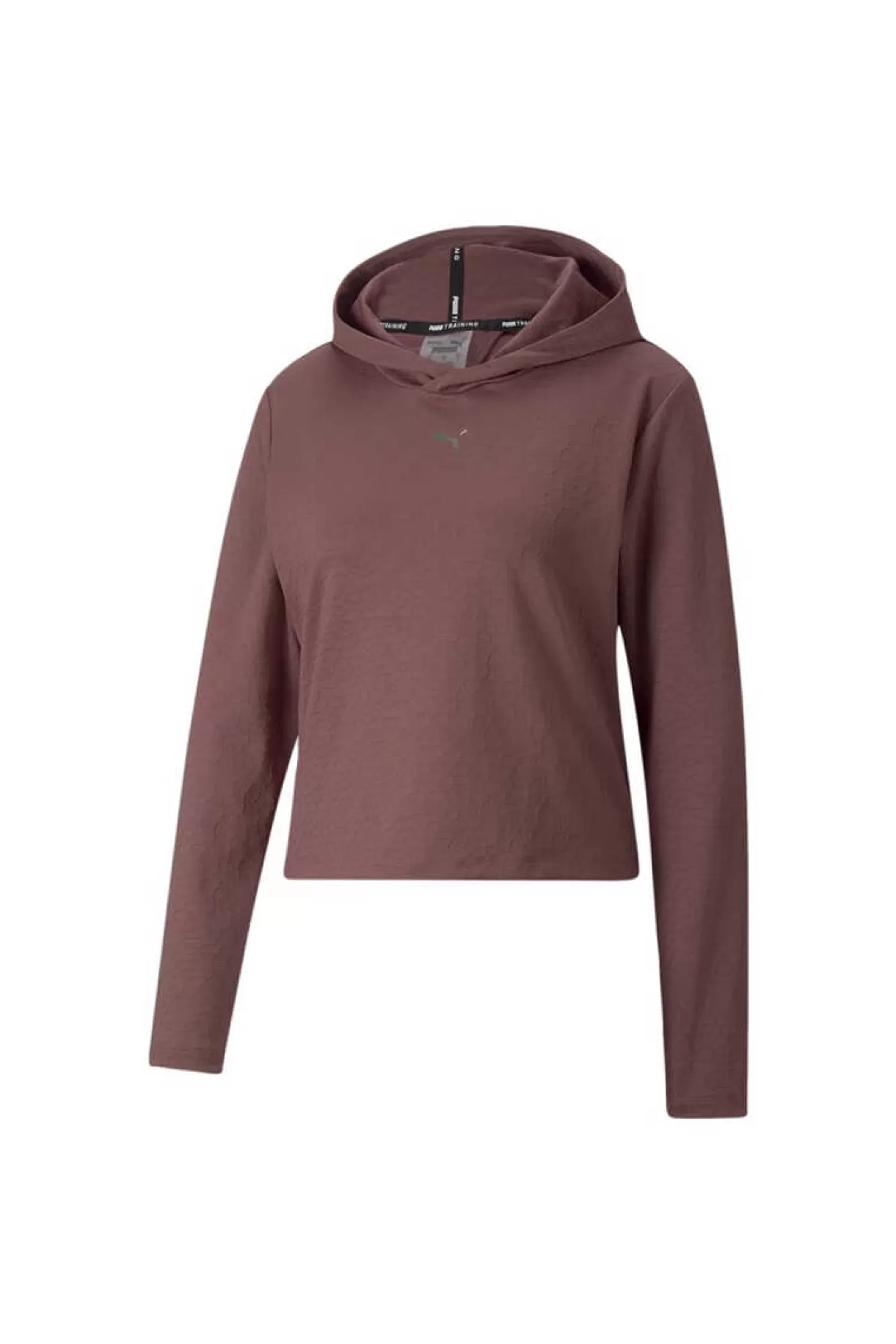 Puma Sweatshirt Capuz