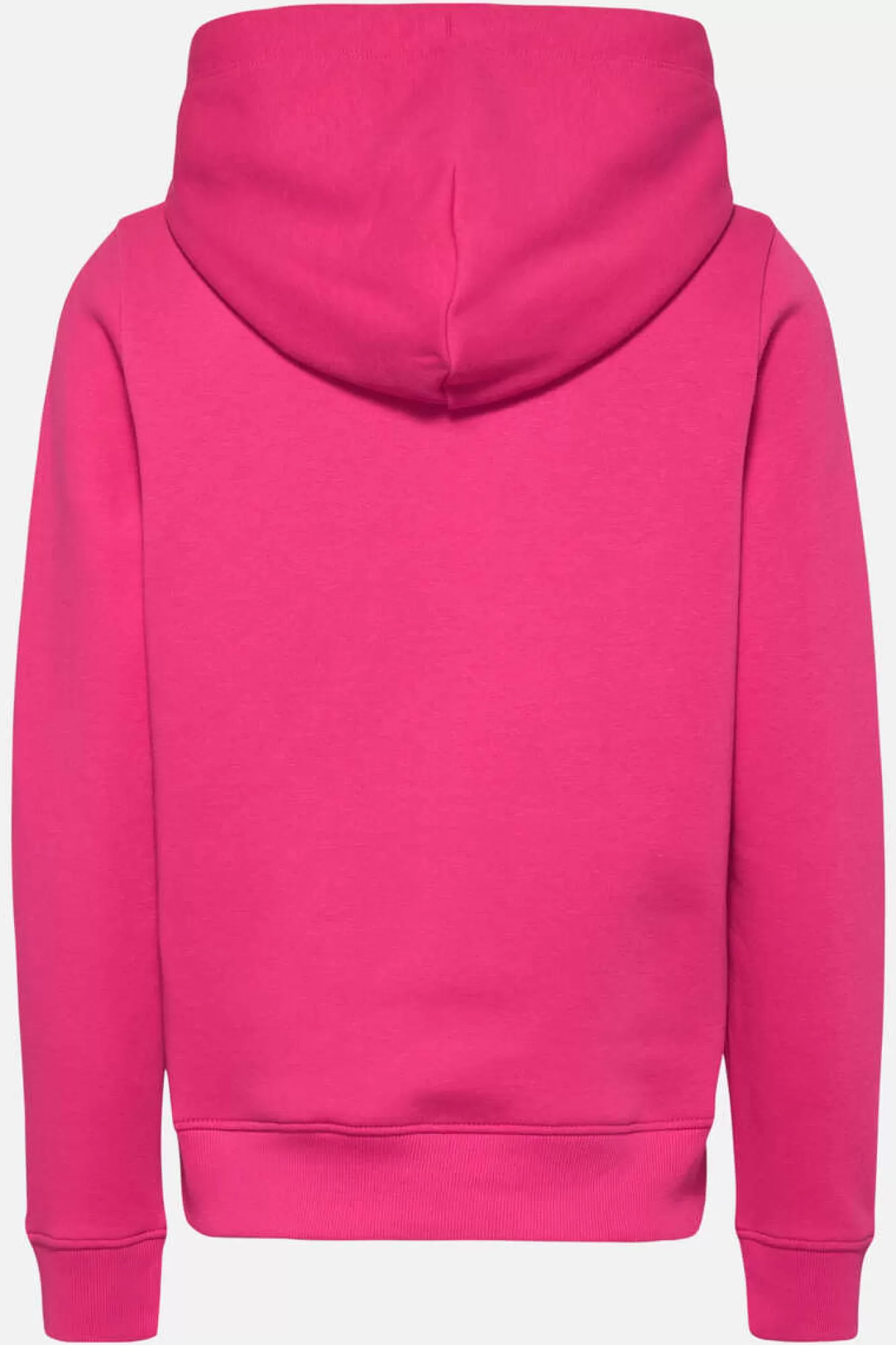 Tommy Jeans Sweatshirt Com Logo Linear