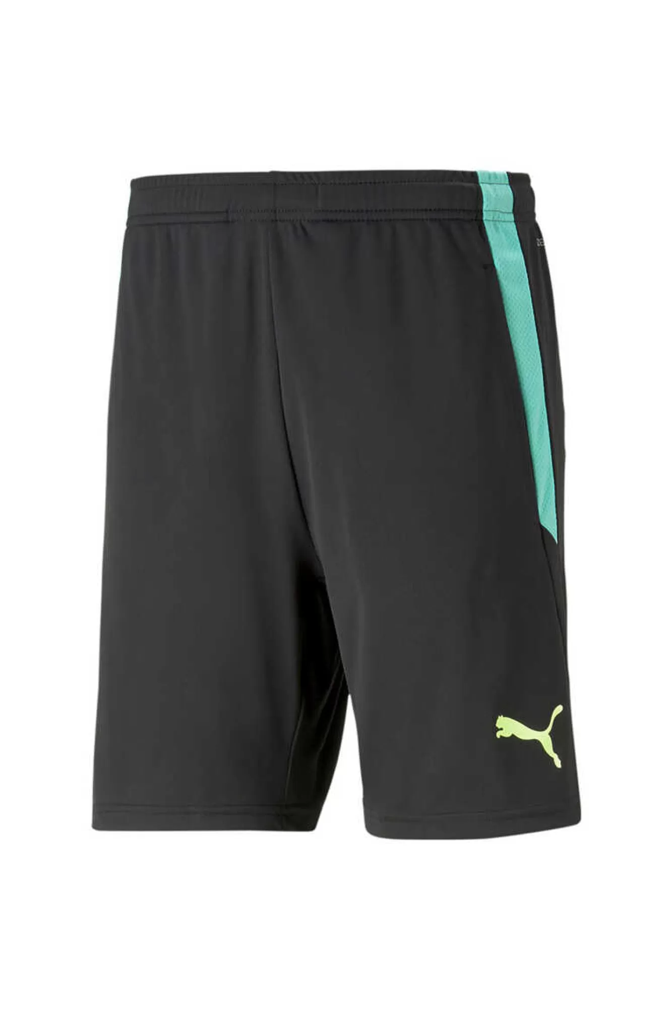 Puma Teamliga Training Shorts 2 (Open Pockets)