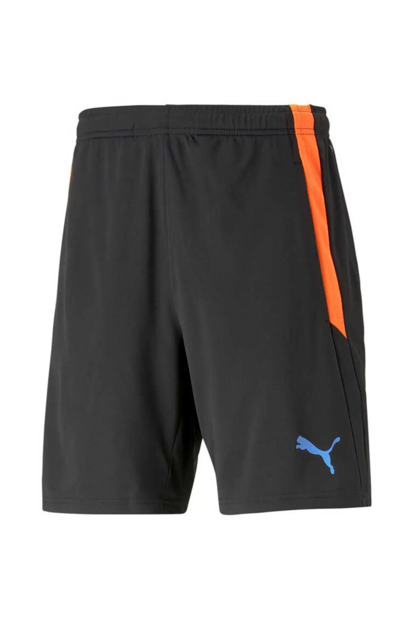 Puma Teamliga Training Shorts 2 (Open Pockets)