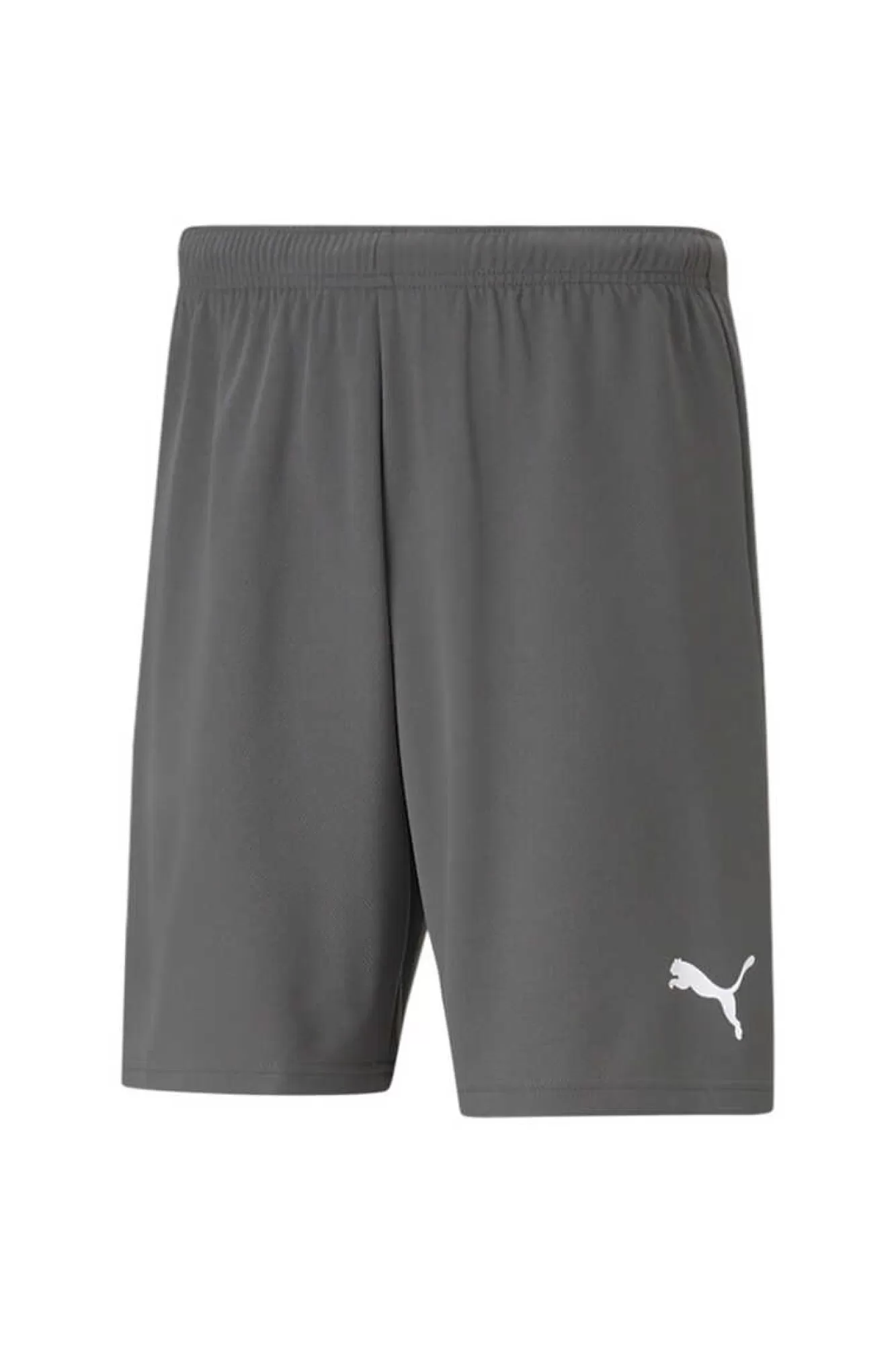 Puma Teamrise Short