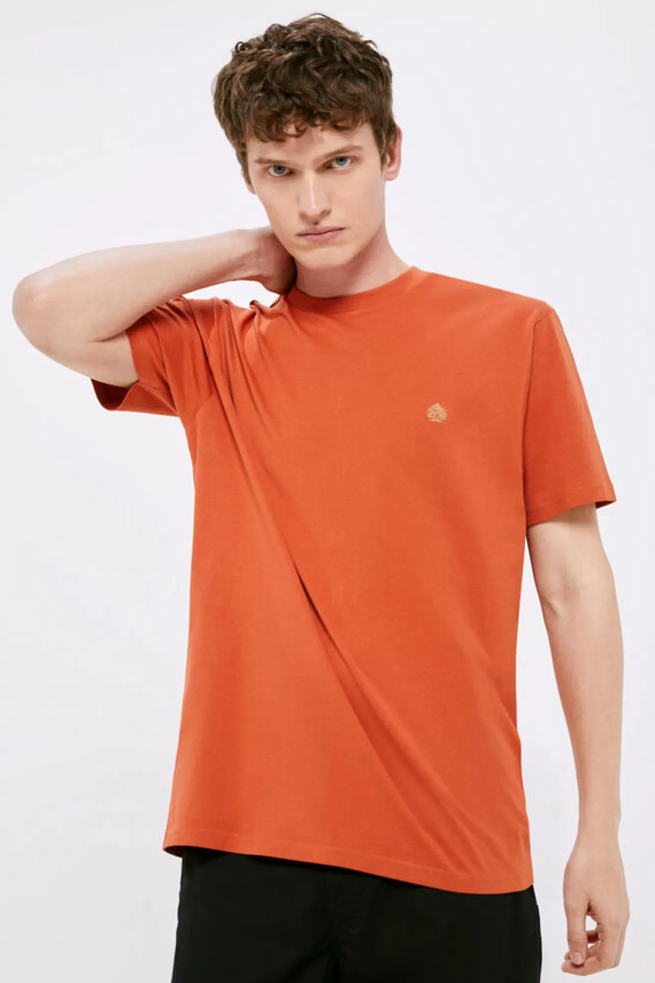 * T-Shirt Basica Arvore